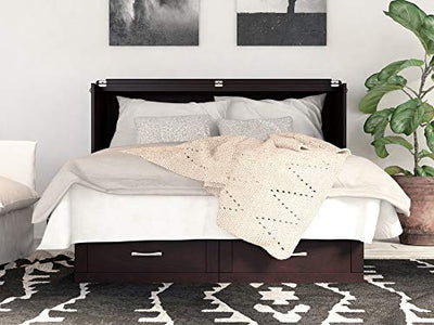 A bedroom with an AFI Monroe Murphy Bed with Charging Station and a plant in the corner.