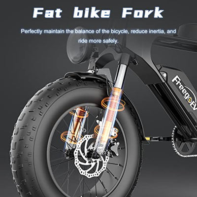 Fat bike fork