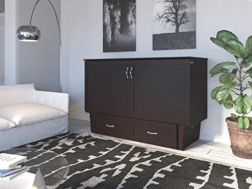 a living room with an AFI Monroe Murphy Bed with Charging Station and a black and white rug.