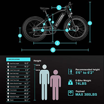 e-bike weight 74 pounds, payload 300 pounds